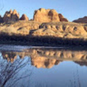 Meet your Posher, Lydia